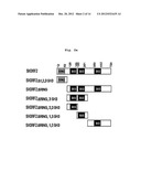 Composition Containing Inhibitors of the Expression or Activity of SH3RF2     for Preventing or Treating Cancer diagram and image