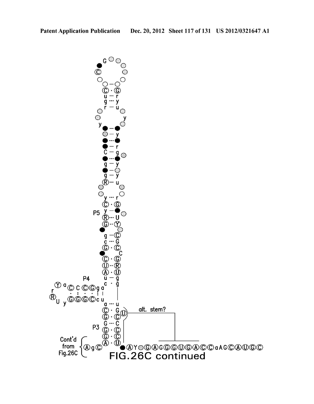 STRUCTURED RNA MOTIFS AND COMPOUNDS AND METHODS FOR THEIR USE - diagram, schematic, and image 118