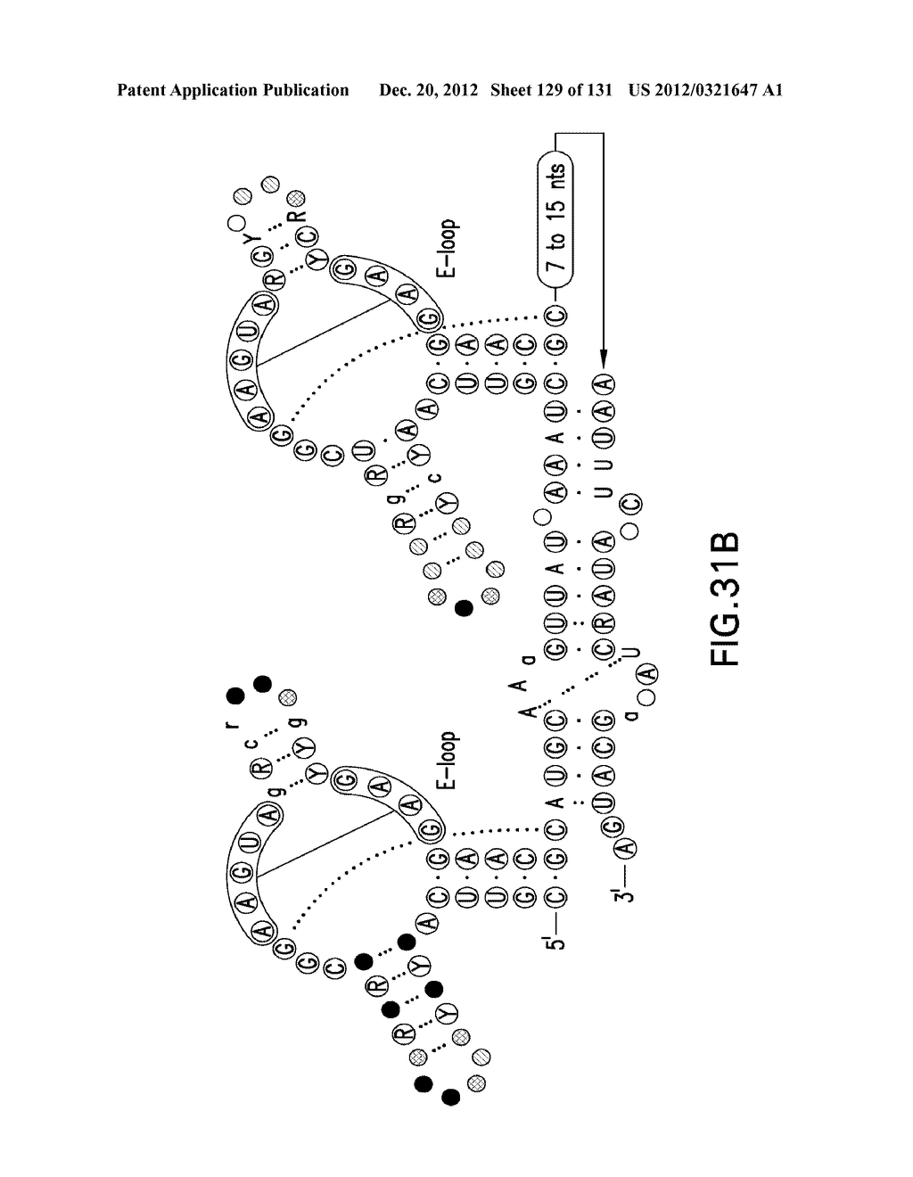 STRUCTURED RNA MOTIFS AND COMPOUNDS AND METHODS FOR THEIR USE - diagram, schematic, and image 130