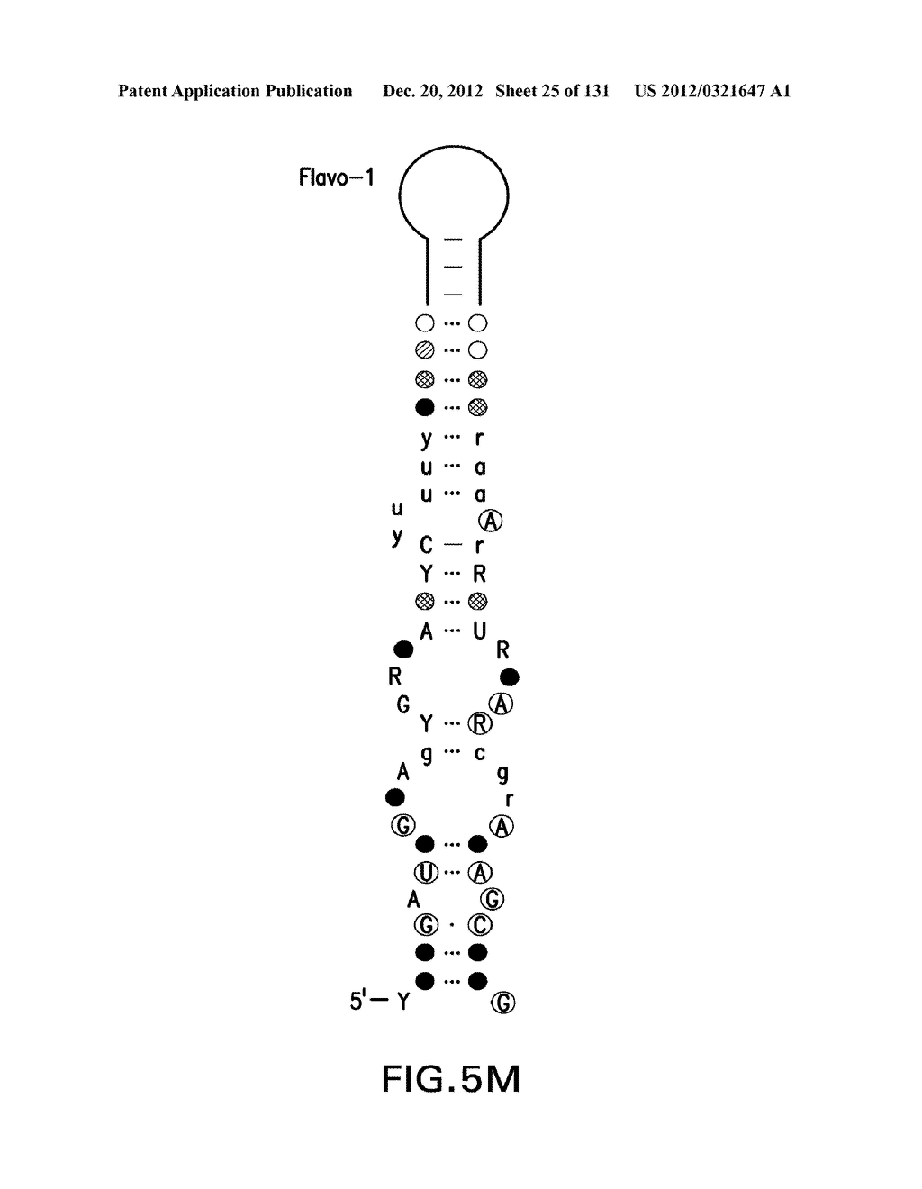 STRUCTURED RNA MOTIFS AND COMPOUNDS AND METHODS FOR THEIR USE - diagram, schematic, and image 26