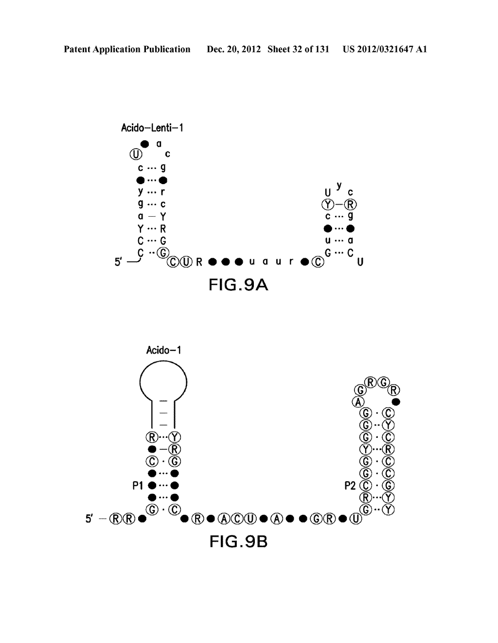STRUCTURED RNA MOTIFS AND COMPOUNDS AND METHODS FOR THEIR USE - diagram, schematic, and image 33