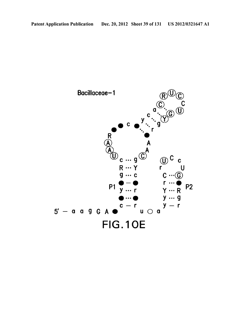 STRUCTURED RNA MOTIFS AND COMPOUNDS AND METHODS FOR THEIR USE - diagram, schematic, and image 40