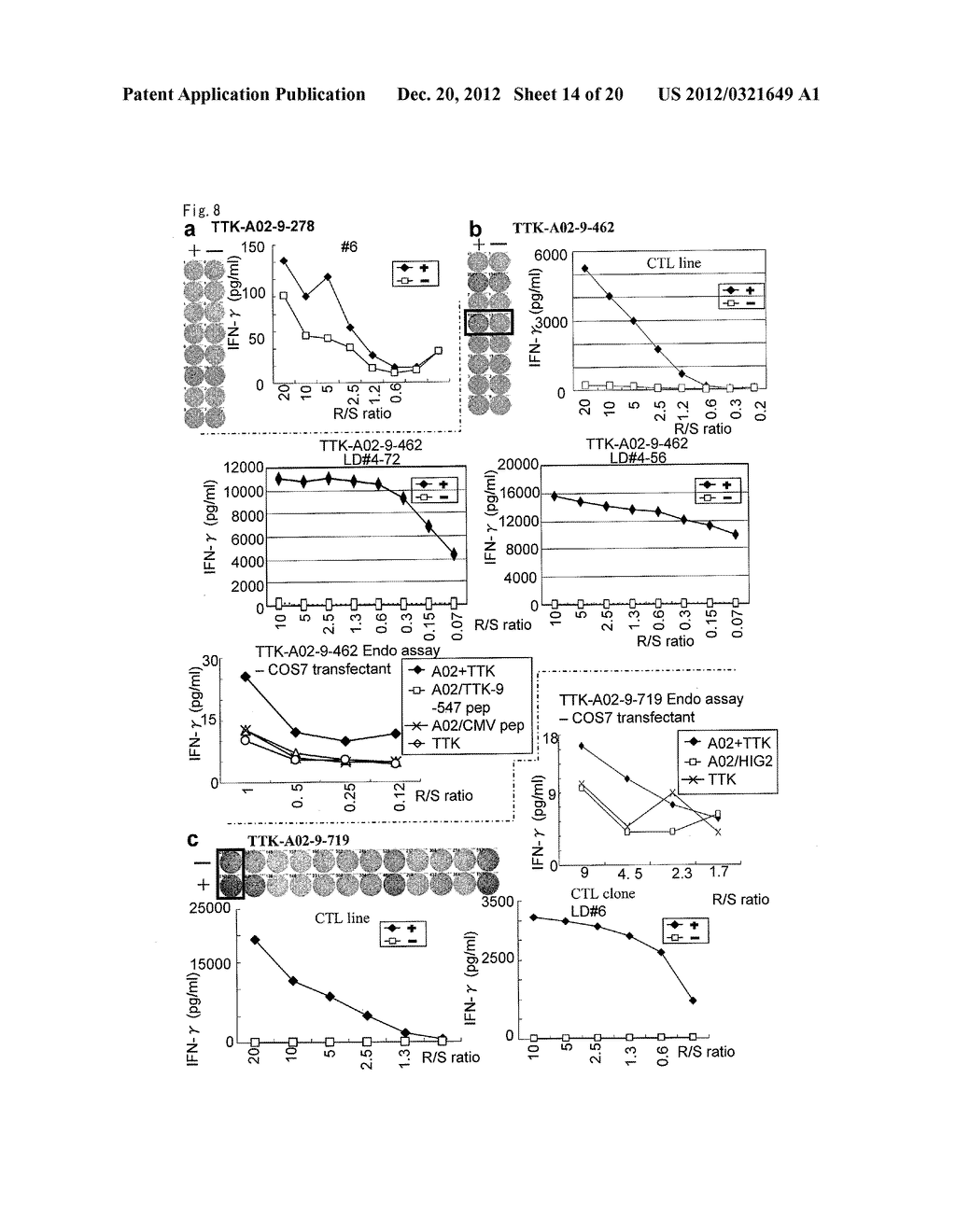 Peptide Vaccines for Cancers Expressing Tumor-Associated Antigens - diagram, schematic, and image 15