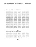 GROUP A STREPTOCOCCUS MULTIVALENT VACCINE diagram and image