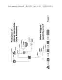 METHOD OF INDUCING THE PRODUCTION OF PROTECTIVE ANTI-HIV-1 ANTIBODIES diagram and image