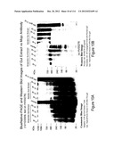 METHOD OF INDUCING THE PRODUCTION OF PROTECTIVE ANTI-HIV-1 ANTIBODIES diagram and image