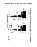 METHOD OF INDUCING THE PRODUCTION OF PROTECTIVE ANTI-HIV-1 ANTIBODIES diagram and image