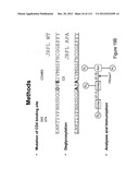 METHOD OF INDUCING THE PRODUCTION OF PROTECTIVE ANTI-HIV-1 ANTIBODIES diagram and image