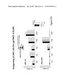 METHOD OF INDUCING THE PRODUCTION OF PROTECTIVE ANTI-HIV-1 ANTIBODIES diagram and image