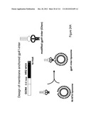 METHOD OF INDUCING THE PRODUCTION OF PROTECTIVE ANTI-HIV-1 ANTIBODIES diagram and image