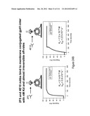 METHOD OF INDUCING THE PRODUCTION OF PROTECTIVE ANTI-HIV-1 ANTIBODIES diagram and image