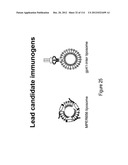 METHOD OF INDUCING THE PRODUCTION OF PROTECTIVE ANTI-HIV-1 ANTIBODIES diagram and image