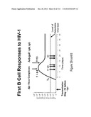 METHOD OF INDUCING THE PRODUCTION OF PROTECTIVE ANTI-HIV-1 ANTIBODIES diagram and image