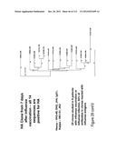 METHOD OF INDUCING THE PRODUCTION OF PROTECTIVE ANTI-HIV-1 ANTIBODIES diagram and image