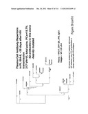 METHOD OF INDUCING THE PRODUCTION OF PROTECTIVE ANTI-HIV-1 ANTIBODIES diagram and image