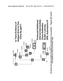 METHOD OF INDUCING THE PRODUCTION OF PROTECTIVE ANTI-HIV-1 ANTIBODIES diagram and image