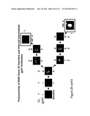 METHOD OF INDUCING THE PRODUCTION OF PROTECTIVE ANTI-HIV-1 ANTIBODIES diagram and image