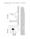 METHOD OF INDUCING THE PRODUCTION OF PROTECTIVE ANTI-HIV-1 ANTIBODIES diagram and image