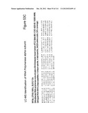 METHOD OF INDUCING THE PRODUCTION OF PROTECTIVE ANTI-HIV-1 ANTIBODIES diagram and image