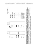 METHOD OF INDUCING THE PRODUCTION OF PROTECTIVE ANTI-HIV-1 ANTIBODIES diagram and image