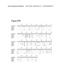 METHOD OF INDUCING THE PRODUCTION OF PROTECTIVE ANTI-HIV-1 ANTIBODIES diagram and image