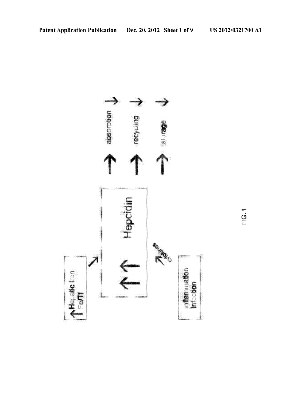 Compositions And Methods For Inhibiting Expression Of The HAMP Gene - diagram, schematic, and image 02