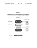 NOVEL GASTRORETENTIVE DOSAGE FORMS OF POORLY SOLUBLE DRUGS diagram and image