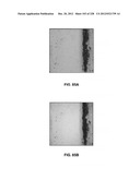 CHARACTERIZATION OF FOOD MATERIALS BY OPTOMAGNETIC FINGERPRINTING diagram and image