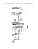 CHARACTERIZATION OF FOOD MATERIALS BY OPTOMAGNETIC FINGERPRINTING diagram and image