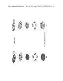 CHARACTERIZATION OF FOOD MATERIALS BY OPTOMAGNETIC FINGERPRINTING diagram and image