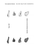 CHARACTERIZATION OF FOOD MATERIALS BY OPTOMAGNETIC FINGERPRINTING diagram and image