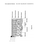 CHARACTERIZATION OF FOOD MATERIALS BY OPTOMAGNETIC FINGERPRINTING diagram and image