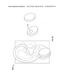 CHARACTERIZATION OF FOOD MATERIALS BY OPTOMAGNETIC FINGERPRINTING diagram and image