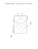 CHARACTERIZATION OF FOOD MATERIALS BY OPTOMAGNETIC FINGERPRINTING diagram and image