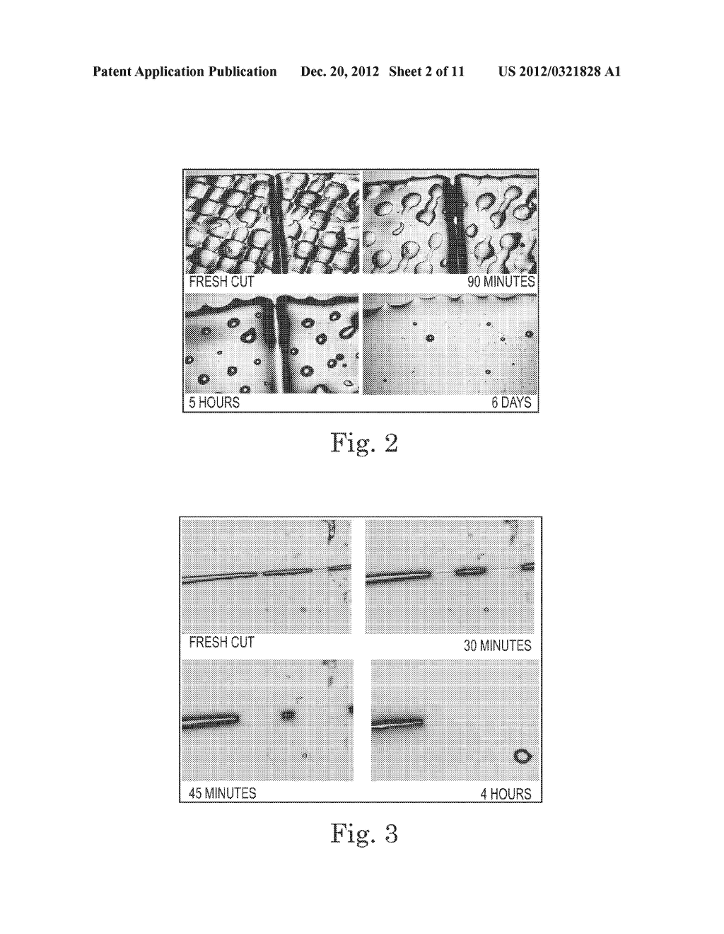 Self-Healing Polymer Materials for Wire Insulation, Polyimides, Flat     Surfaces, and Inflatable Structures - diagram, schematic, and image 03