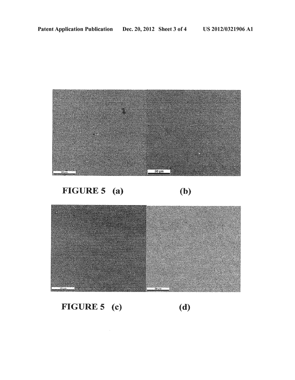 METAL-COATED POLYMER ARTICLE OF HIGH DURABILITY AND VACUUM AND/OR PRESSURE     INTEGRITY - diagram, schematic, and image 04