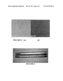 METAL-COATED POLYMER ARTICLE OF HIGH DURABILITY AND VACUUM AND/OR PRESSURE     INTEGRITY diagram and image