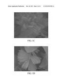 FERROUS PHOSPHATE (II) POWDERS, LITHIUM IRON PHOSPHATE POWDERS FOR LI-ION     BATTERY, AND METHODS FOR MANUFACTURING THE SAME diagram and image