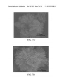 FERROUS PHOSPHATE (II) POWDERS, LITHIUM IRON PHOSPHATE POWDERS FOR LI-ION     BATTERY, AND METHODS FOR MANUFACTURING THE SAME diagram and image