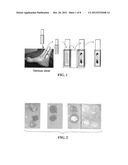 Materials and Methods for Assessing and Mapping Microbes and Microbial     Biofilms on Wounds diagram and image