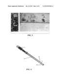 Materials and Methods for Assessing and Mapping Microbes and Microbial     Biofilms on Wounds diagram and image