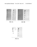 Materials and Methods for Assessing and Mapping Microbes and Microbial     Biofilms on Wounds diagram and image