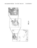 Materials and Methods for Assessing and Mapping Microbes and Microbial     Biofilms on Wounds diagram and image