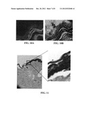 Materials and Methods for Assessing and Mapping Microbes and Microbial     Biofilms on Wounds diagram and image