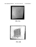 Materials and Methods for Assessing and Mapping Microbes and Microbial     Biofilms on Wounds diagram and image