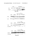 Methods And Compositions For Detection Of Cowden Syndrome (CS) and CS-Like     Syndrome diagram and image