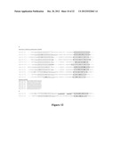 METHODS FOR QUANTIFYING MICRORNA PRECURSORS diagram and image