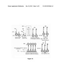 HYBRIDIZATION PROBES AND METHODS OF THEIR USE diagram and image