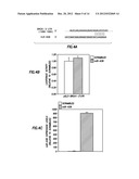 Diagnositic Methods of Tumor Susceptibility With Nucleotide Polymorphisms     Inside MicroRNA Target Sites diagram and image