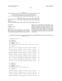 CELL, METHOD, AND ASSAY KIT FOR MEASURING LEVEL OF ARYL HYDROCARBON     RECEPTOR TRANSCRIPTIONAL ACTIVATION diagram and image